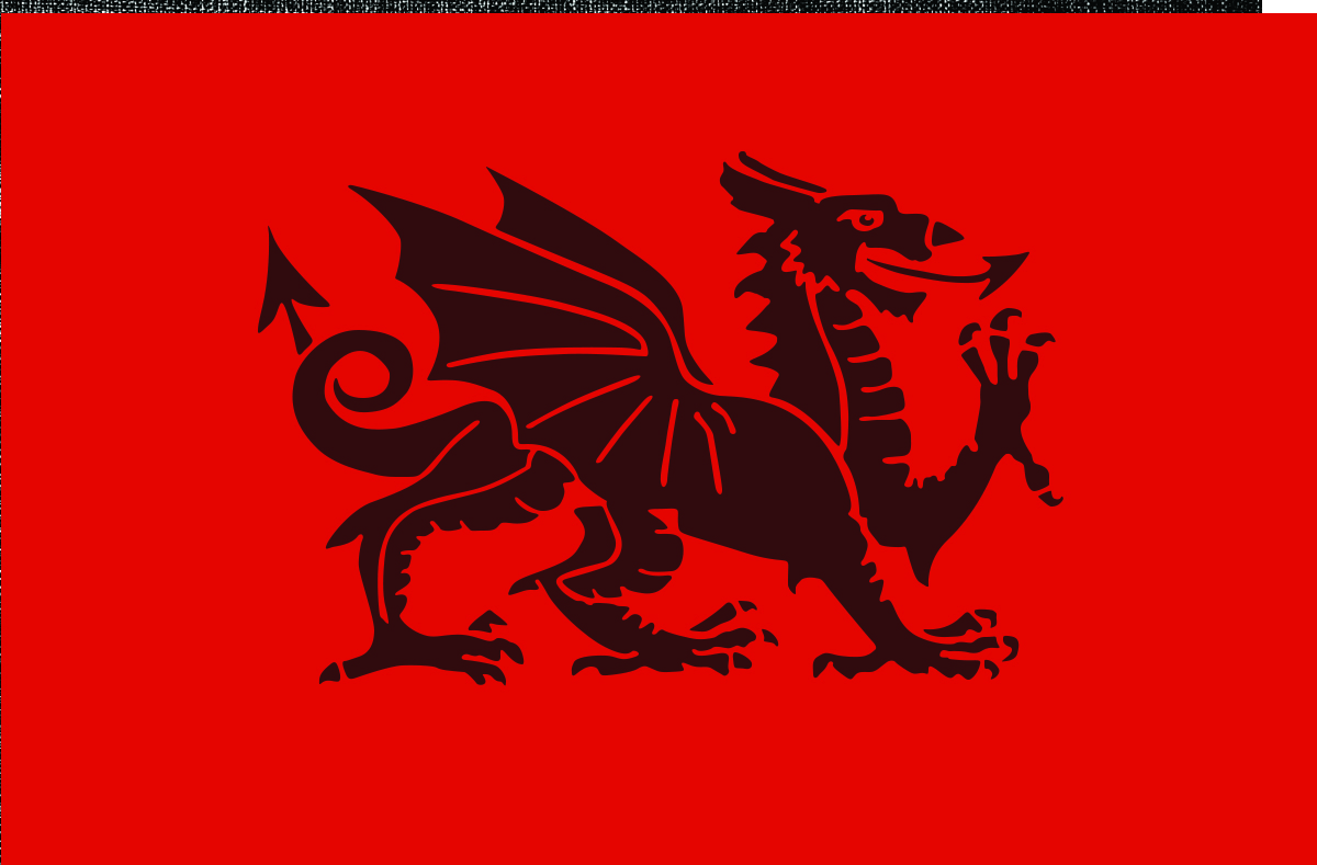 Red Dragon Conservation